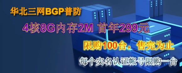 华北BGP4H8G年付299